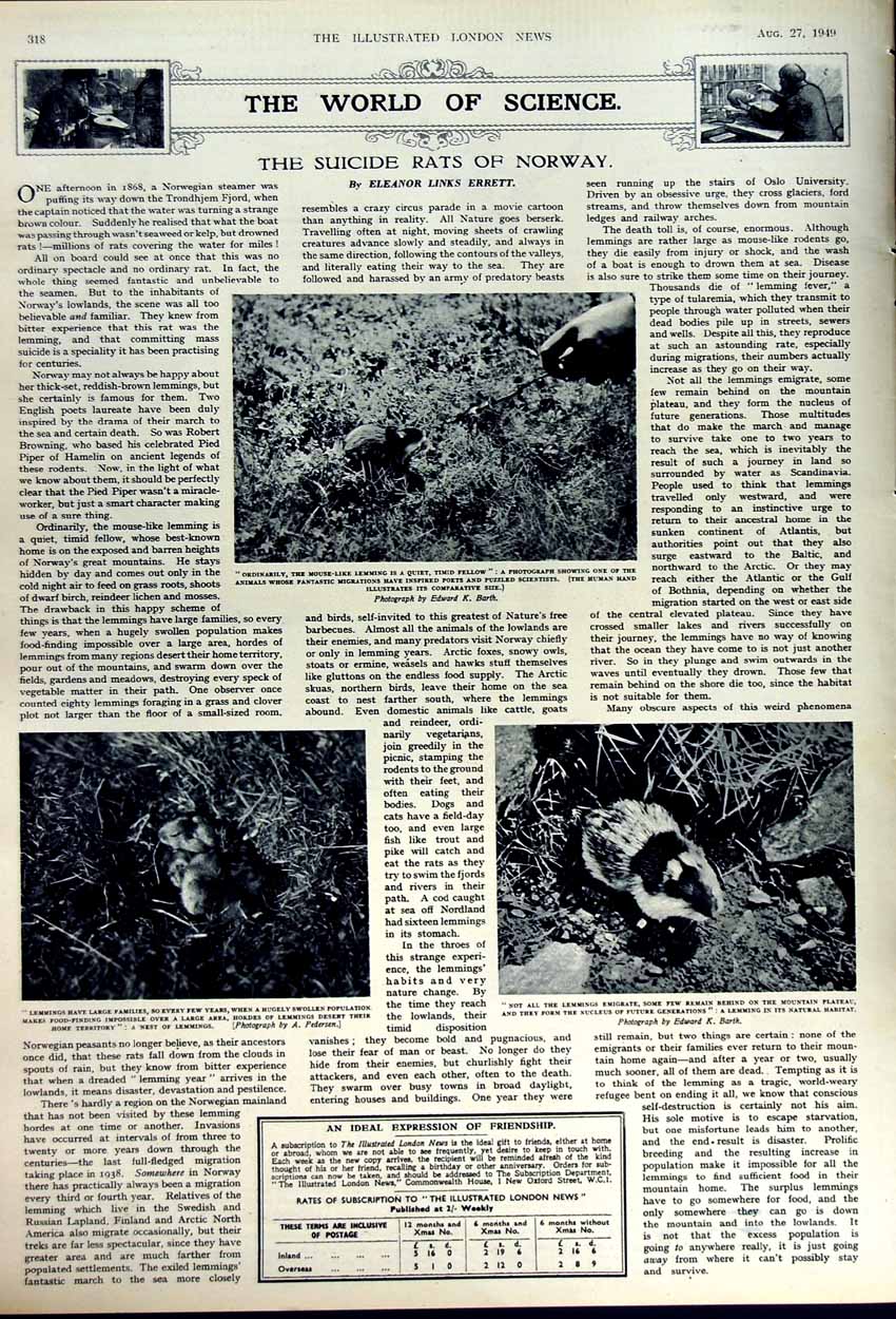 Old Vintage Print 1949 Archeaology Apollo Horned God Alasia Rats Norway 20th