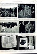 Antique Old Print 1949 Australia Minister Menzies Fadden Cow Coptic Bible 20th
