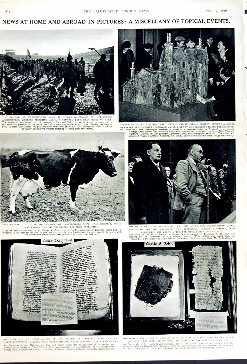 Antique Old Print 1949 Australia Minister Menzies Fadden Cow Coptic Bible 20th