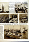 Original Old Vintage Print 1949 Albion Yacht London Cat Show John Biscoe Ship