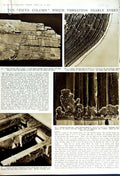 Original Old Vintage Print 1949 Dry-Rot Merulius Lacrymans Brickwork Fruiting