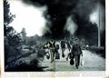 Original Old Vintage Print 1949 Refugees Village Bordeaux France Forest Fire