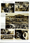 Original Old Vintage Print 1951 Horse Racing Hampshire Ship Campbeltown Ducks