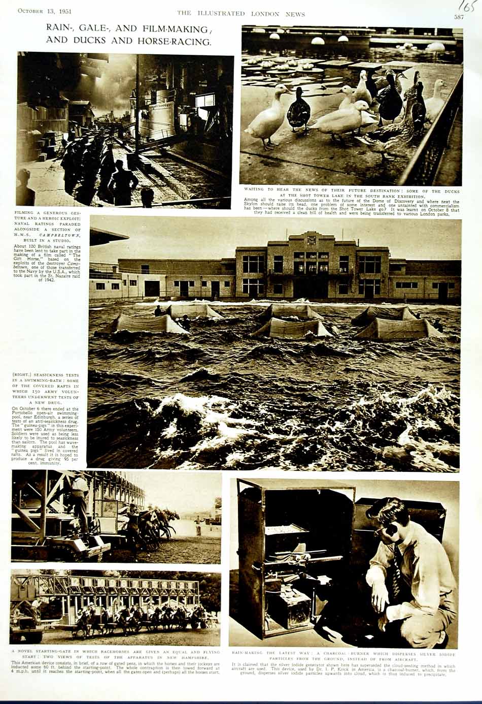Original Old Vintage Print 1951 Horse Racing Hampshire Ship Campbeltown Ducks