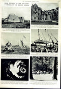 Original Old Vintage Print 1951 Typhoon Horses Tarpan Munich Plymouth Iceland