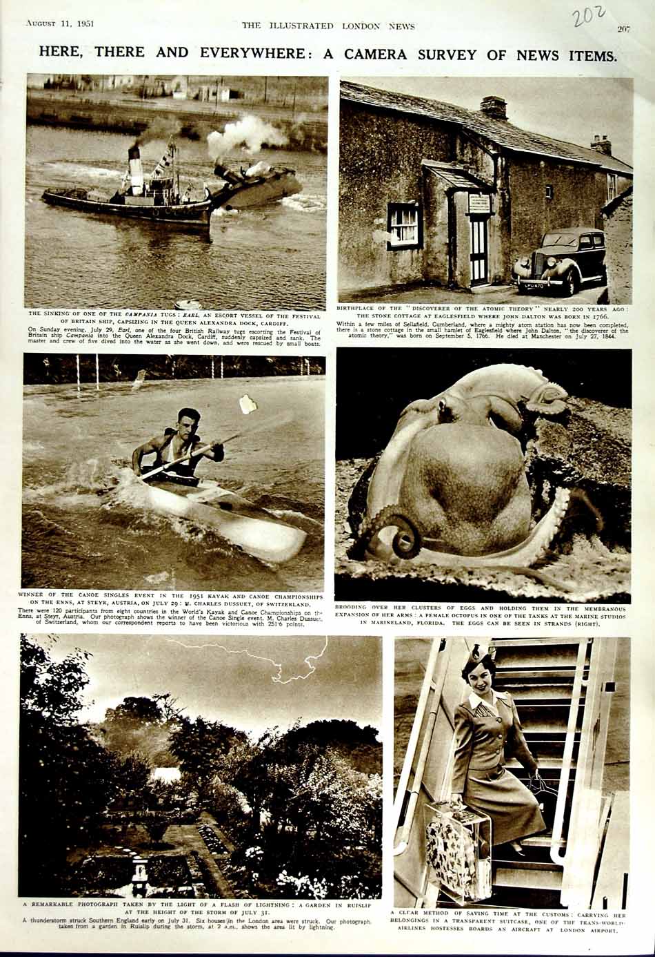 Old Vintage Print 1951 Ship Sinking Campania Dalton Octopus Florida Canoe 20th