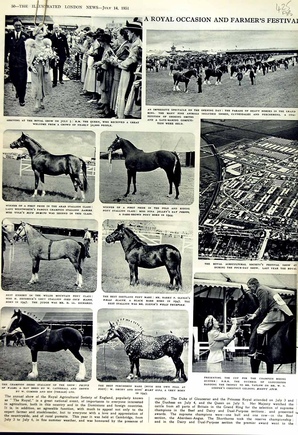 Old Vintage Print 1951 Horse Agricultural Show Queen Bagot Falmouth Ship 20th