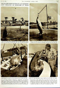 Old Vintage Print 1952 Flippy Bottle-Nosed Dolphin Florida America Frohn 20th