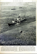 Old Vintage Print 1952 Military Academy Police Cadets Electric Fishing 20th