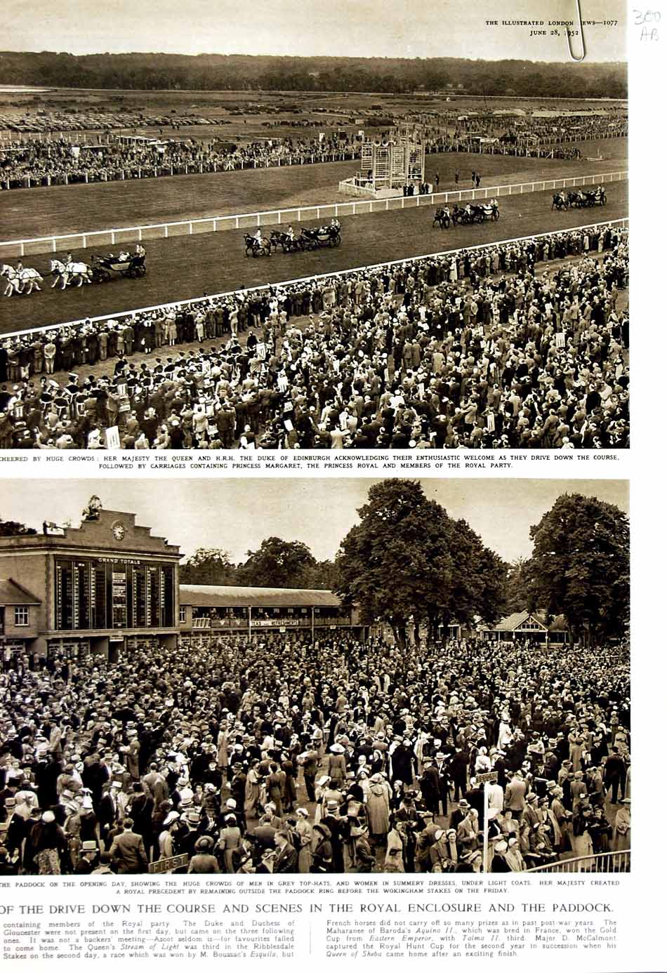 Old Vintage Print 1952 Royal Ascot Queen Elizabeth Duke Edinburgh Horses 20th