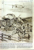 Old Vintage Print 1952 Cattle Abattoir Slaughter Refrigeration Australia 20th