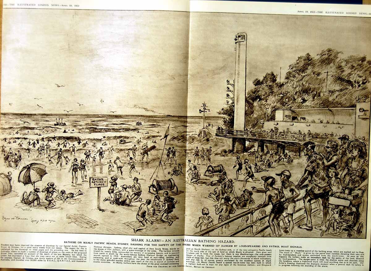 Old Vintage Print 1952 Australia Manly Pacific Beach Sydney Shark Alarm 20th
