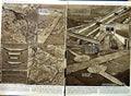 Original Old Vintage Print 1952 Amsterdam Rhine Canal Queen Juliana Hinterland