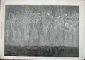 Old Antique Print 1865 Portsmouth Rockets Spithead Ships Illuminations 19th