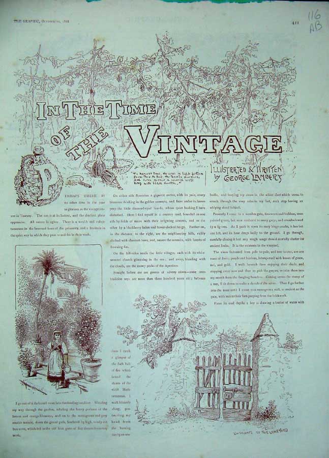 Original Old Antique Print 1888 Vineyard Wine Grapes Well Ox Cart Cellar Women