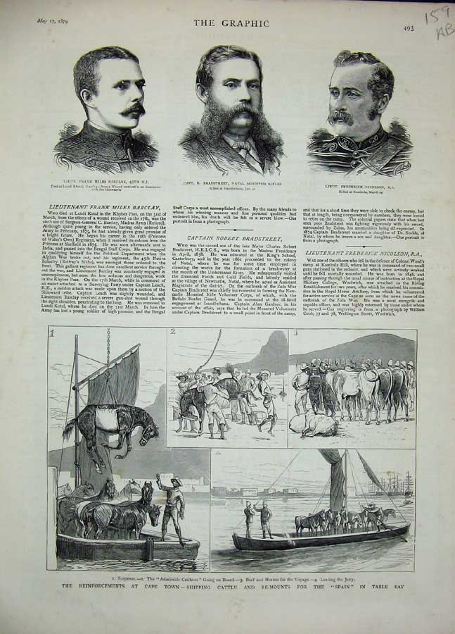 Old Antique Print Cape Town 1879 Cattle Bradstreet Zulu War Basuto Ekowe 19th
