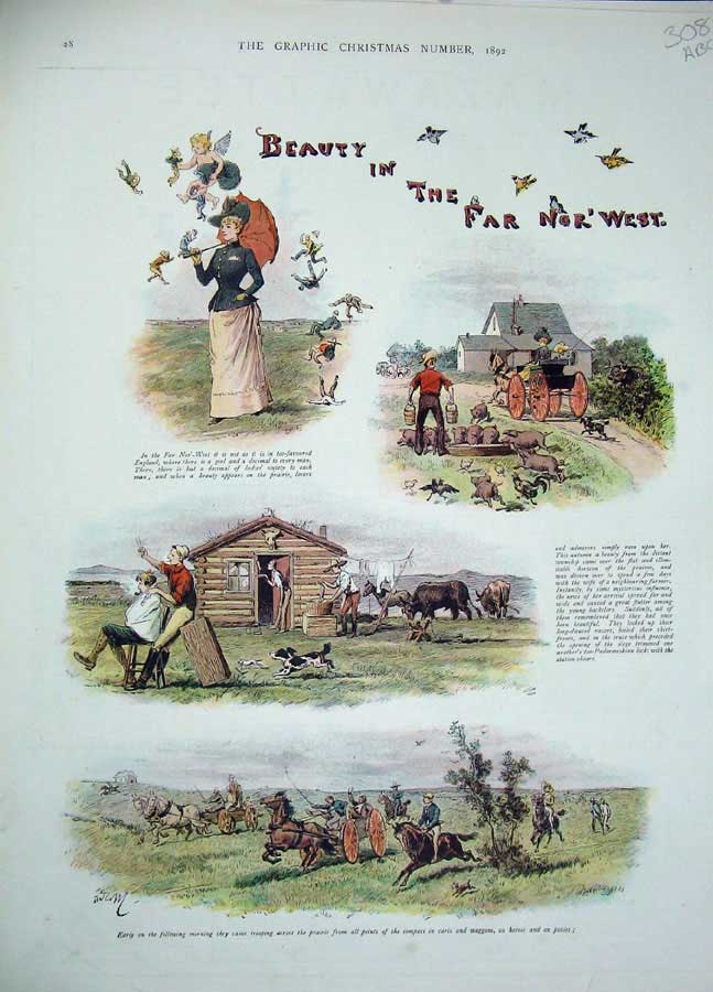 Original Old Antique Print 1892 Story Beauty In The Far Nor' West Country Farm