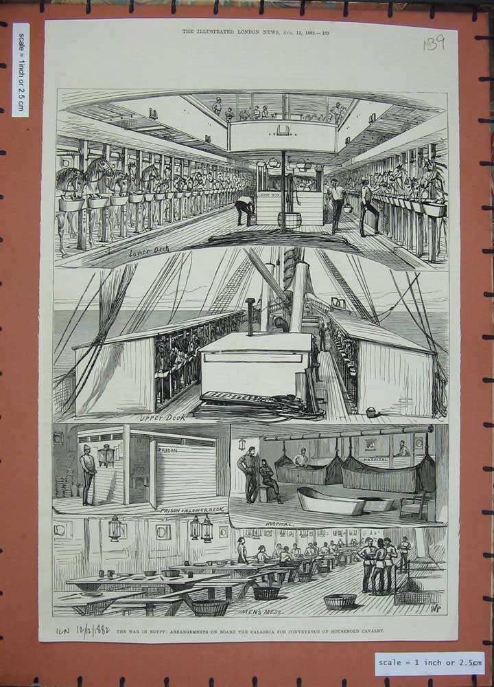 Original Old Antique Print 1882 War Egypt Calabria Ship HousehCavalry Siers
