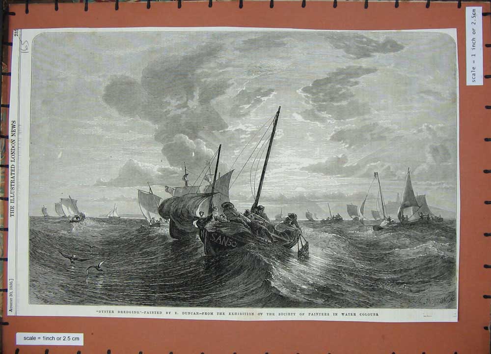 Original Old Antique Print 1856 Oyster Dredging Boats Ships Sea Duncan Fine Art