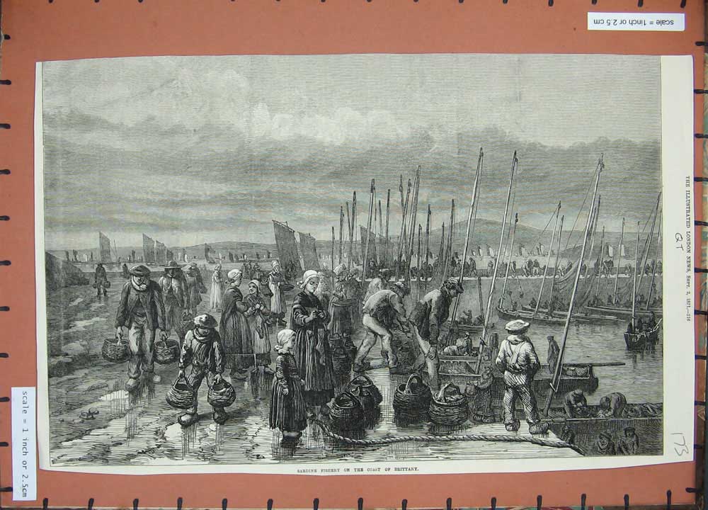 Old Antique Print 1871 Sardine Fishery Brittany France Boats Fish People 19th