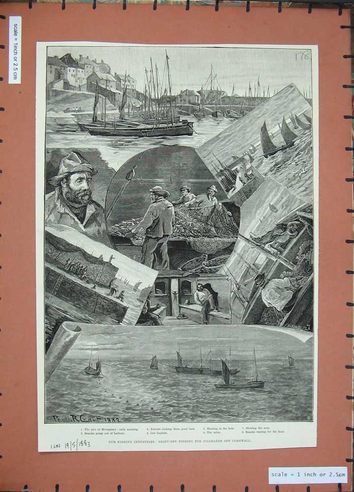 Original Old Antique Print 1883 Fishing Drift Net Pilchards Cornwall Mevagissey