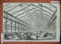 Old Antique Print 1858 American Plants Ashburnham Pavilion Gardens Hedges 19th