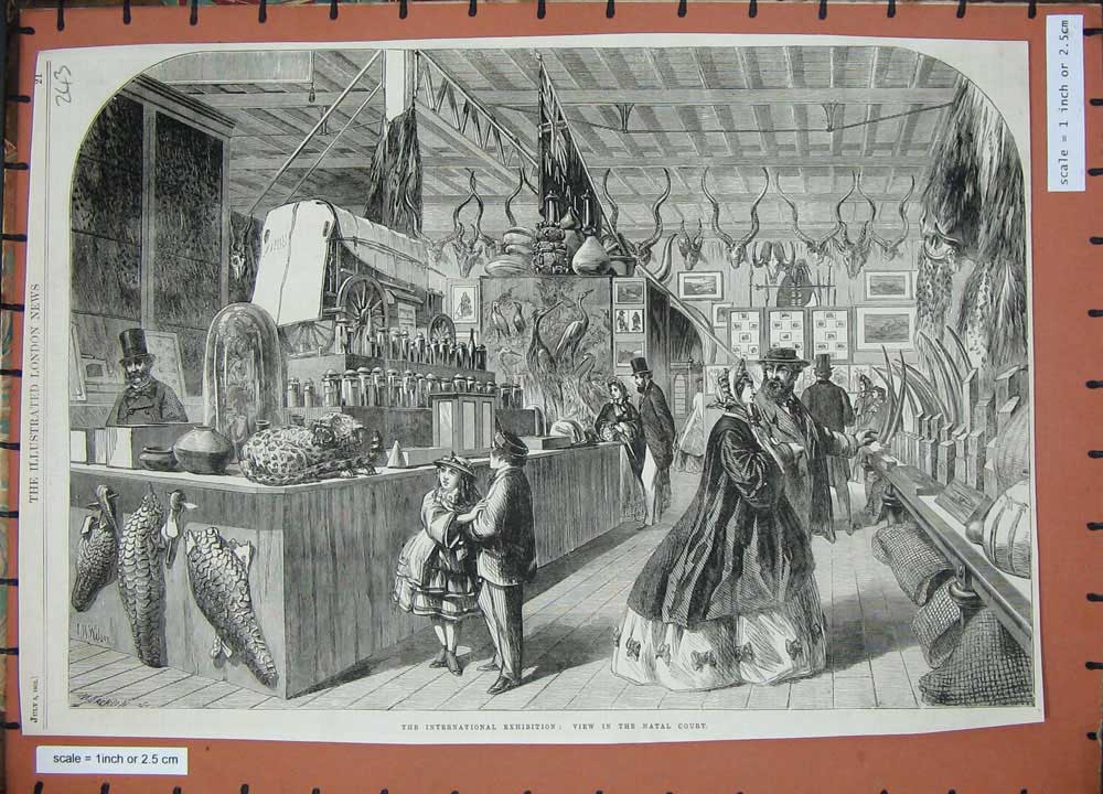 Original Old Antique Print 1862 International Exhibition Naval Court People