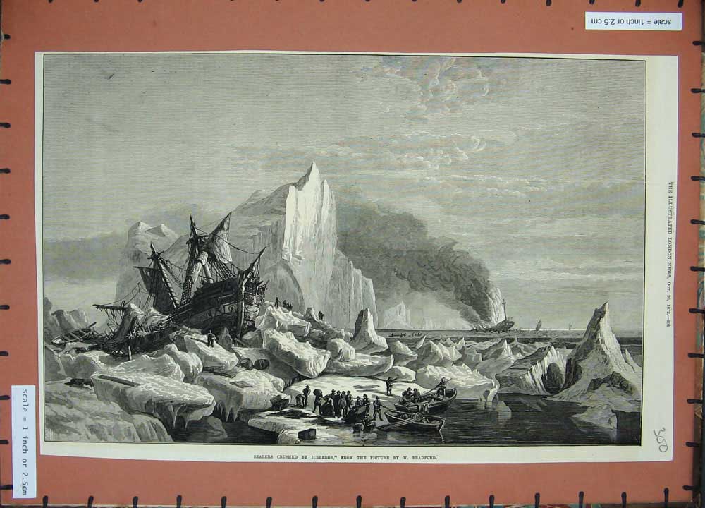 Original Old Antique Print 1872 Sealers Crushed Icebergs Sailing Ships Bradford