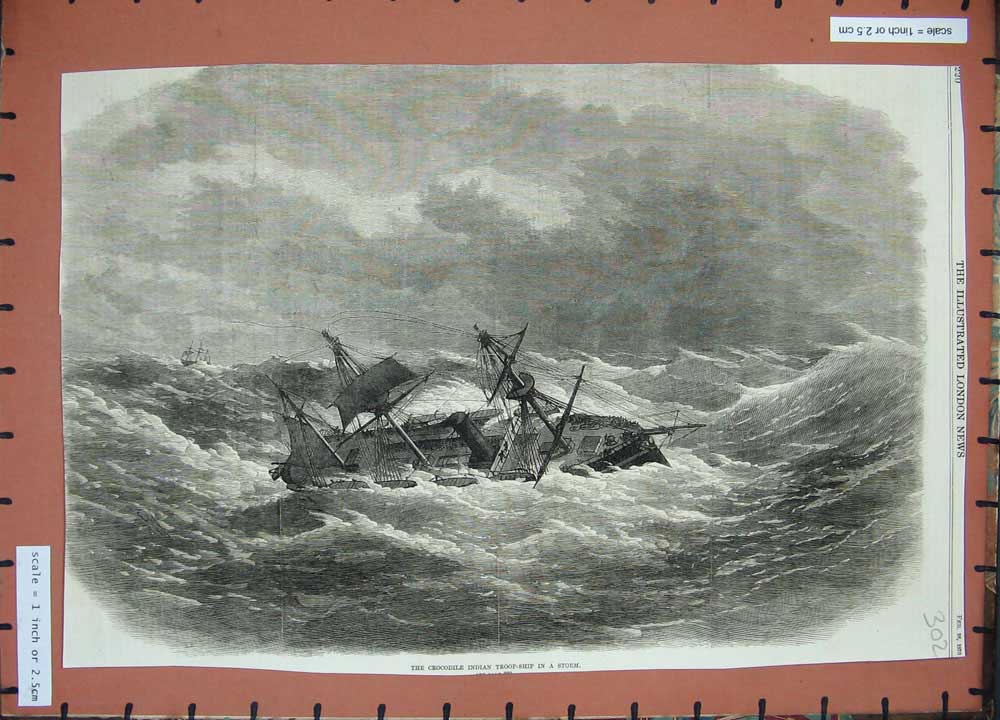 Old Antique Print 1870 Crocodile Indian Troop Sailing Ship Storm Sea Art 19th