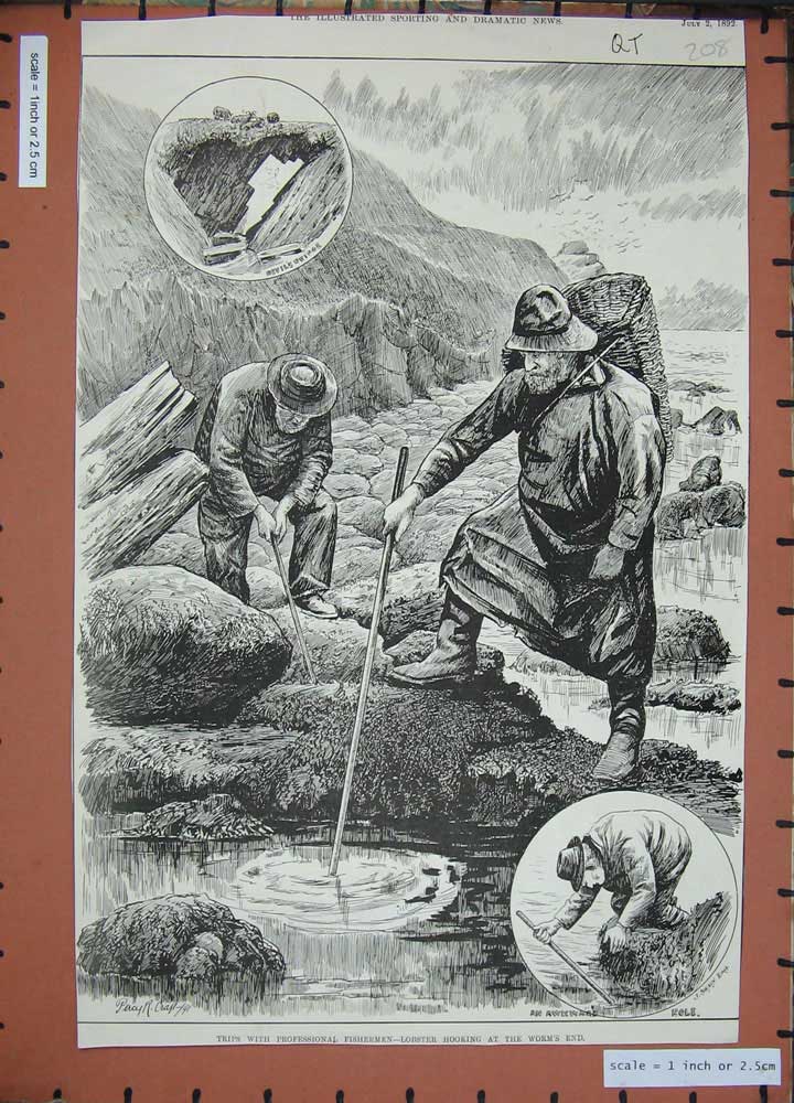 Old Antique Print 1892 Lobster Hooking Worm'S End Professional Fishermen 19th