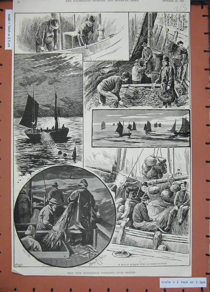 Old Antique Print 1891 Professional Fishing Herring Boats Yarmouth Quay 19th