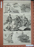 Original Old Antique Print 1886 Sea Fishing Trawling Trammelling Dragging Nets