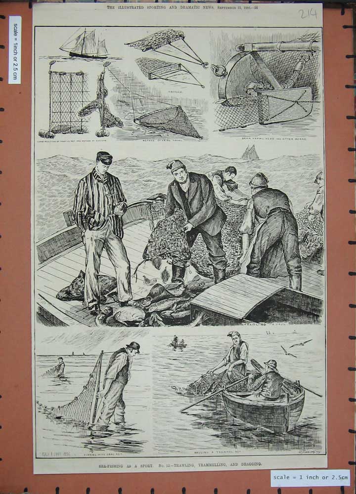 Original Old Antique Print 1886 Sea Fishing Trawling Trammelling Dragging Nets