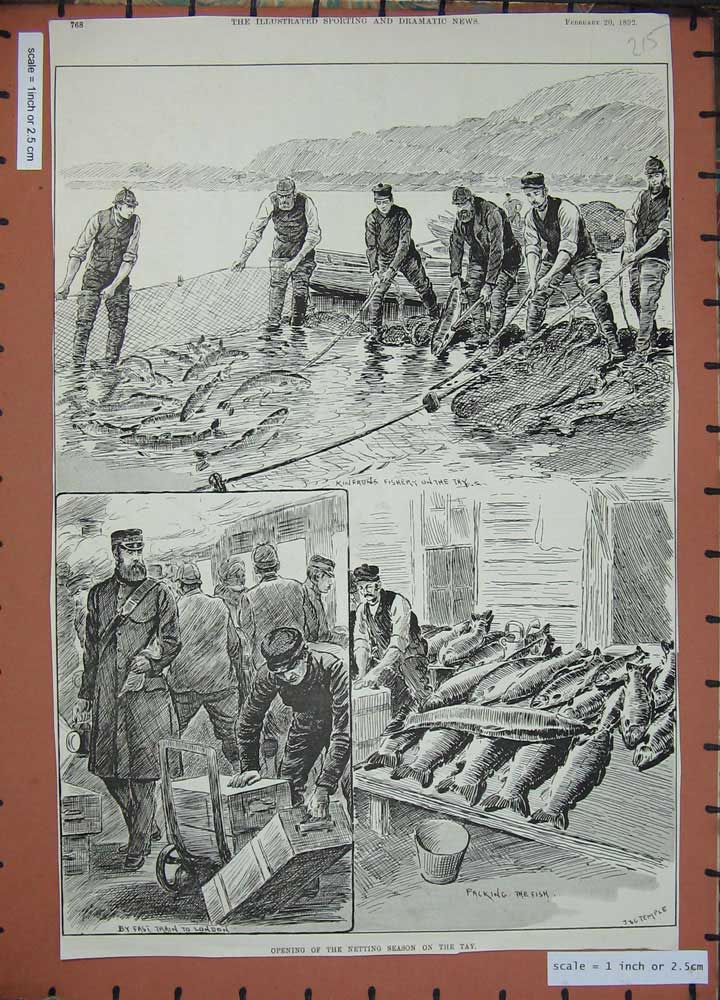 Original Old Antique Print 1892 Fishing Netting Season Men Rive Tay Scotland