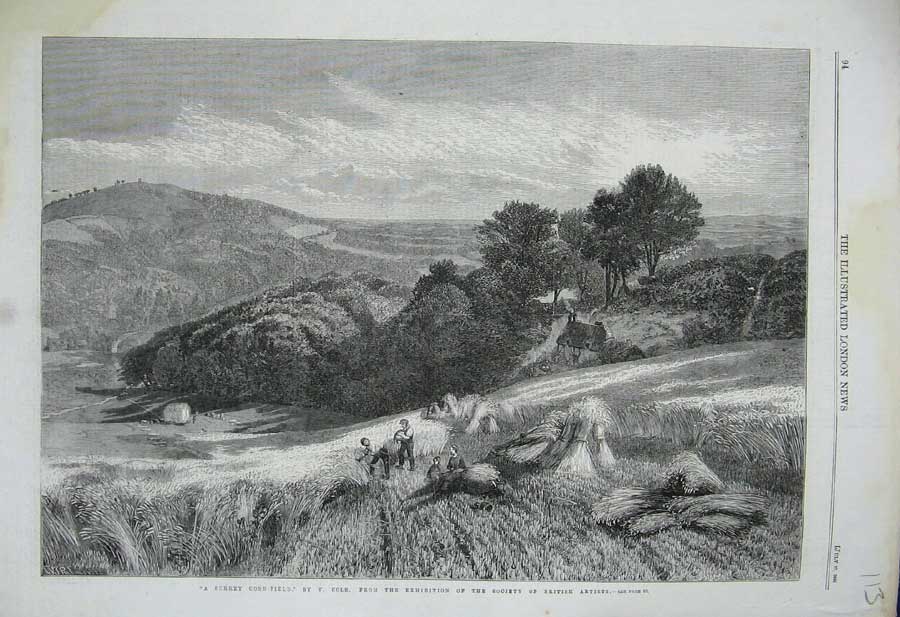 Old Antique Print 1861 Surrey Corn Field Country Farming Hay-Stack Cole 19th