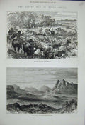 Original Old Antique Print 1880 Basuto War Africa Cattle Thaba Bosigo Masupha