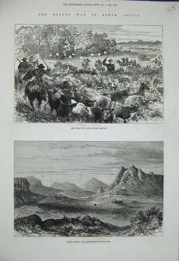 Original Old Antique Print 1880 Basuto War Africa Cattle Thaba Bosigo Masupha