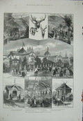 Old Antique Print 1884 International Forestry Exhibition Edinburgh Trees 19th