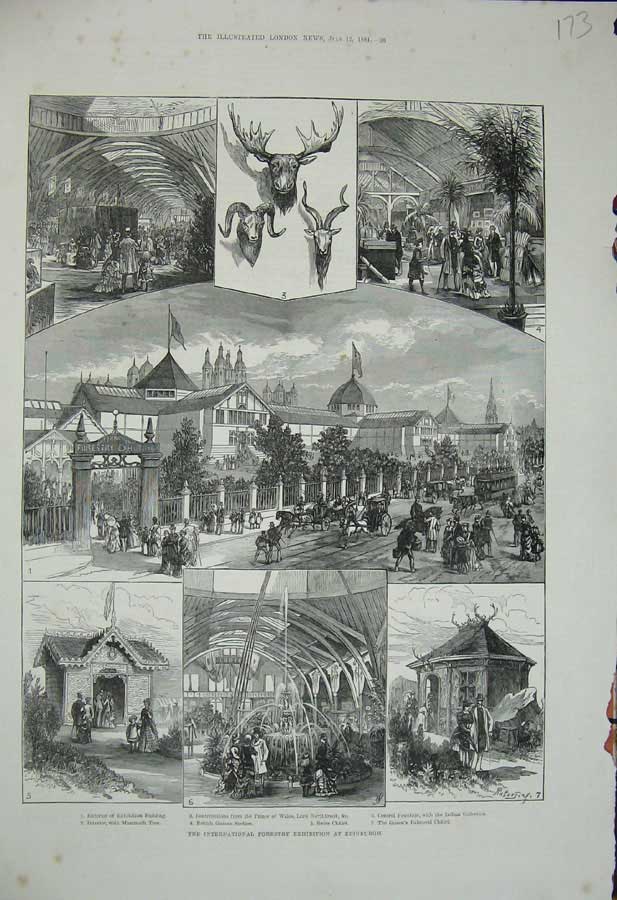 Old Antique Print 1884 International Forestry Exhibition Edinburgh Trees 19th