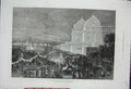 Old Antique Print 1876 Illuminations Calcutta Prince Wales Horse Carriage 19th
