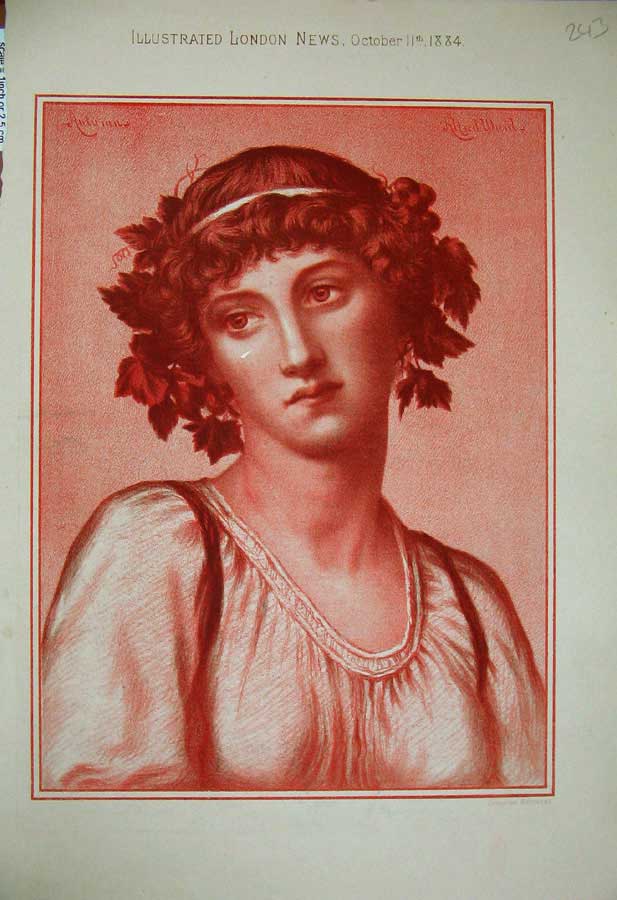 Original Old Antique Print 1884 Colour Portrait Beautiful Lady Woman Victorian