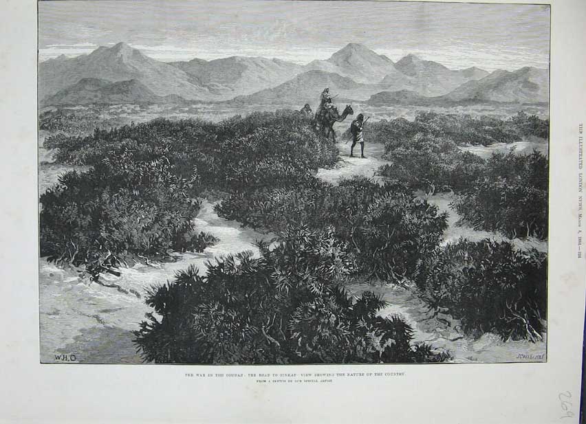 Old Antique Print 1884 War Soudan Sinkat Mountains Country Camel Natives 19th