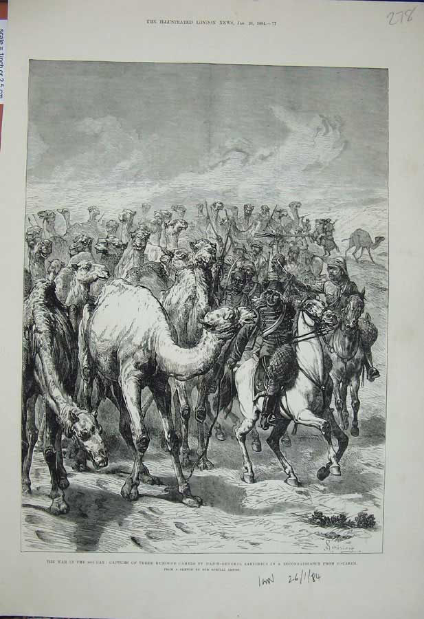 Old Antique Print 1884 War Soudan Camels Major-General Sartorius Souakim 19th