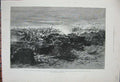 Original Old Antique Print 1884 War Soudan Sereeba Siers Battle Mimosa Souakim