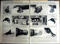 Original Old Vintage Print 1922 Duck-Billed Platypus Toomey Zoological Railway