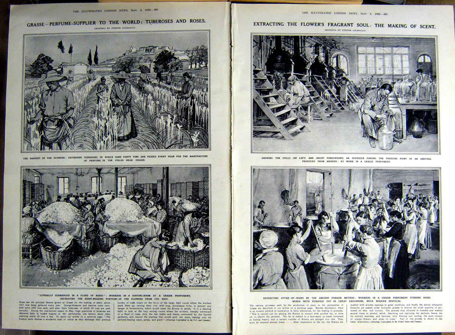 Original Old Vintage Print 1922 Flowers Harvest Roses Perfume Lavender Khanh G1