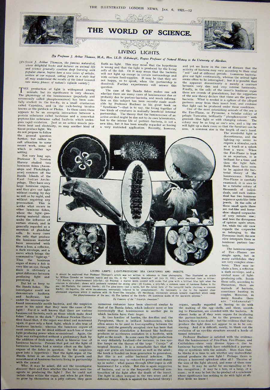 Old Vintage Print 1923 Drian Portrait Cecile Sorel Theatre Sea Creatures 20th