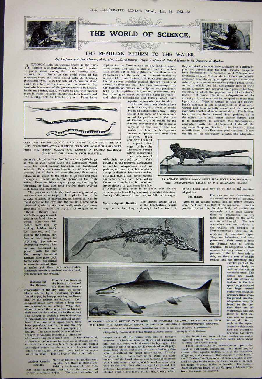 Antique Old Print 1923 French Premier Poincare Reptile Science Snake Fish 20th