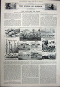 Original Old Vintage Print 1923 Holy City Mesopotamia Shrine Winter Plants