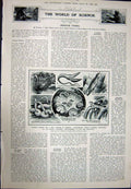 Original Old Vintage Print 1923 Telephony Olympia Sound-Distribution Fishes